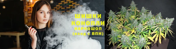 прущие грибы Нязепетровск