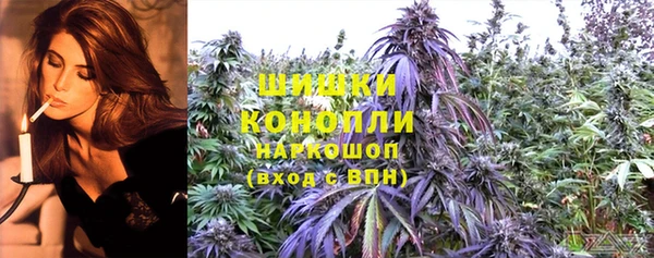 дмт Нягань
