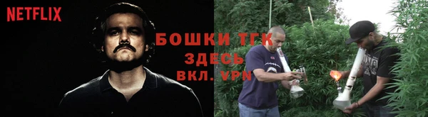 дмт Нягань