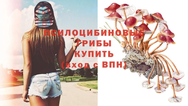 героин Няндома