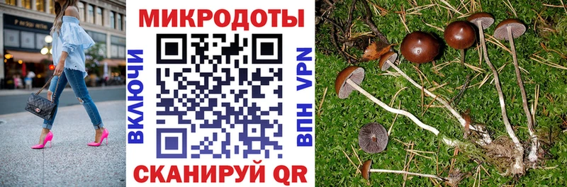 Галлюциногенные грибы ЛСД  Купить где  Раменское 